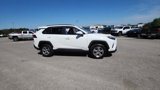 Used 2023 Toyota RAV4 XLE image 6