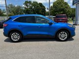 Used 2020 Ford Escape SE image 2