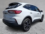 Used 2022 Ford Escape SE w/ SE Sport Appearance Package image 6