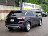 Used 2020 Ford Escape SE image 5