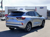 Used 2024 Ford Escape ST-Line image 5