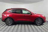 Used 2022 Ford Escape SEL w/ Class II Trailer Tow Package image 3