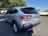 Used 2020 Ford Escape SE image 3