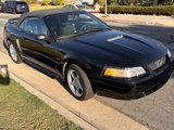 Used 2000 Ford Mustang GT image 5
