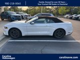 Used 2020 Ford Mustang Premium image 3