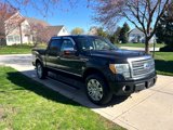 Used 2010 Ford F150 Platinum image 4