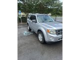 Used 2010 Ford Escape XLT image 3