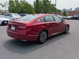 Used 2020 Honda Accord Touring image 4