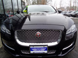 Used 2016 Jaguar XJ L Portfolio image 2