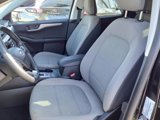 Certified 2022 Ford Escape SE w/ SE Sport Appearance Package image 3