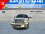 Used 2013 Ford F150 Lariat w/ Mid Equipment Group image 3