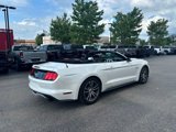 Used 2017 Ford Mustang GT Premium w/ Equipment Group 401A image 4
