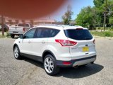 Used 2013 Ford Escape Titanium image 3