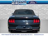 Certified 2019 Ford Mustang Convertible w/ Equipment Group 101A image 4