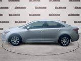 Used 2024 Toyota Corolla LE image 2