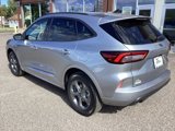 New 2024 Ford Escape ST-Line Select w/ Tech Pack #1 image 3