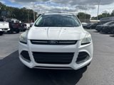 Used 2016 Ford Escape SE w/ SE Cold Weather Package image 3