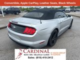 Used 2018 Ford Mustang Premium image 2