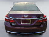 Used 2017 Honda Accord EX image 5