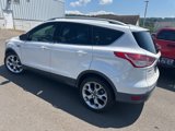 Used 2016 Ford Escape Titanium w/ Equipment Group 301A image 4
