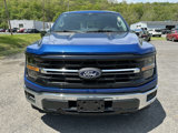 New 2025 Ford F150 XLT w/ Equipment Group 302A MID image 6