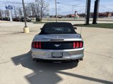 Used 2021 Ford Mustang Premium image 4