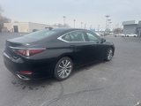 Used 2019 Lexus ES 350 image 4