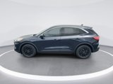 Used 2021 Ford Escape SE w/ Convenience Package image 5