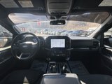 Used 2022 Ford F150 XLT w/ Equipment Group 302A High image 6