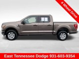 Used 2019 Ford F150 XLT w/ Equipment Group 301A Mid image 4