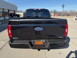 Certified 2023 Ford F150 XLT w/ Equipment Group 302A High image 5