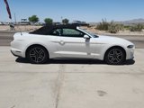 Certified 2019 Ford Mustang Premium image 4