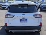 Certified 2020 Ford Escape SE image 3