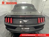 Used 2015 Ford Mustang Premium image 4