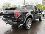 Used 2011 Ford F150 FX4 w/ FX Luxury Pkg image 5