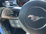 Used 2019 Ford Mustang Coupe w/ Equipment Group 101A image 5