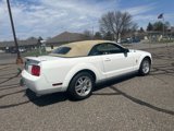 Used 2007 Ford Mustang Deluxe image 5