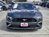 Used 2019 Ford Mustang Coupe image 2
