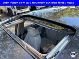 Used 2019 Honda CR-V EX-L image 5