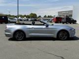 Used 2022 Ford Mustang Premium image 6