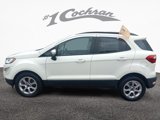Certified 2021 Ford EcoSport SE image 4