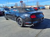 Used 2022 Ford Mustang Premium image 5