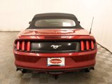Used 2017 Ford Mustang Premium image 5