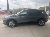 Certified 2022 Ford Escape SEL image 4
