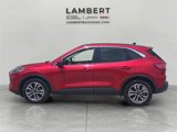 Used 2020 Ford Escape SEL image 2