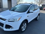 Used 2014 Ford Escape SE w/ Equipment Group 201A image 5