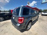 Used 2010 Ford Escape Limited image 5