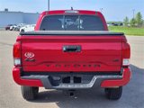 Used 2022 Toyota Tacoma SR image 6