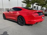 Used 2015 Ford Mustang Coupe image 5