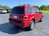 Used 2009 Ford Escape XLT image 3